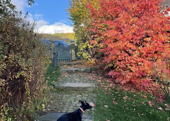 Rhoenmantisch - Landleben Und Stille *